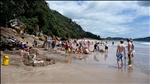 Mass excavations on Hot Water Beach